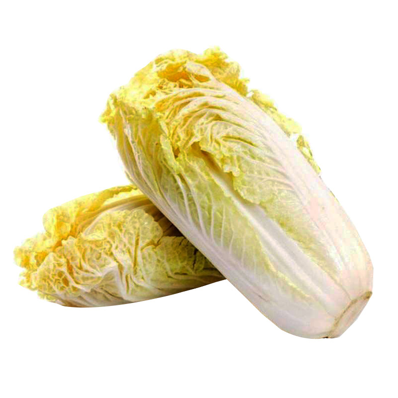 韩国引进黄心娃娃菜种子秋季结球大白菜农家菜园种植蔬菜种包邮