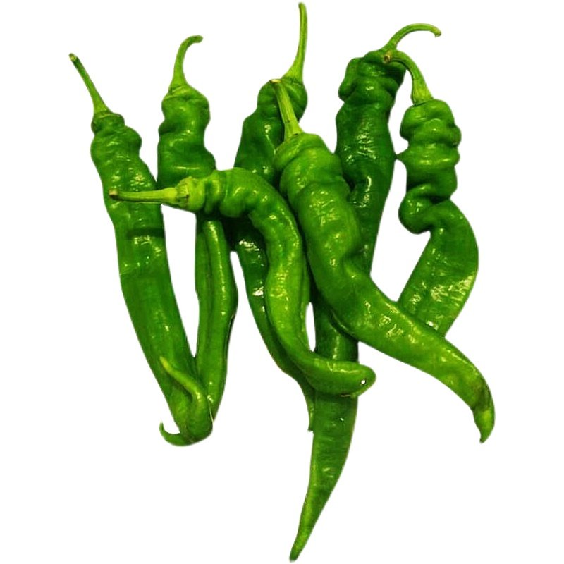蔬菜小皱皮椒种子早熟皱皮品种农家特辣超辣家庭园艺种子