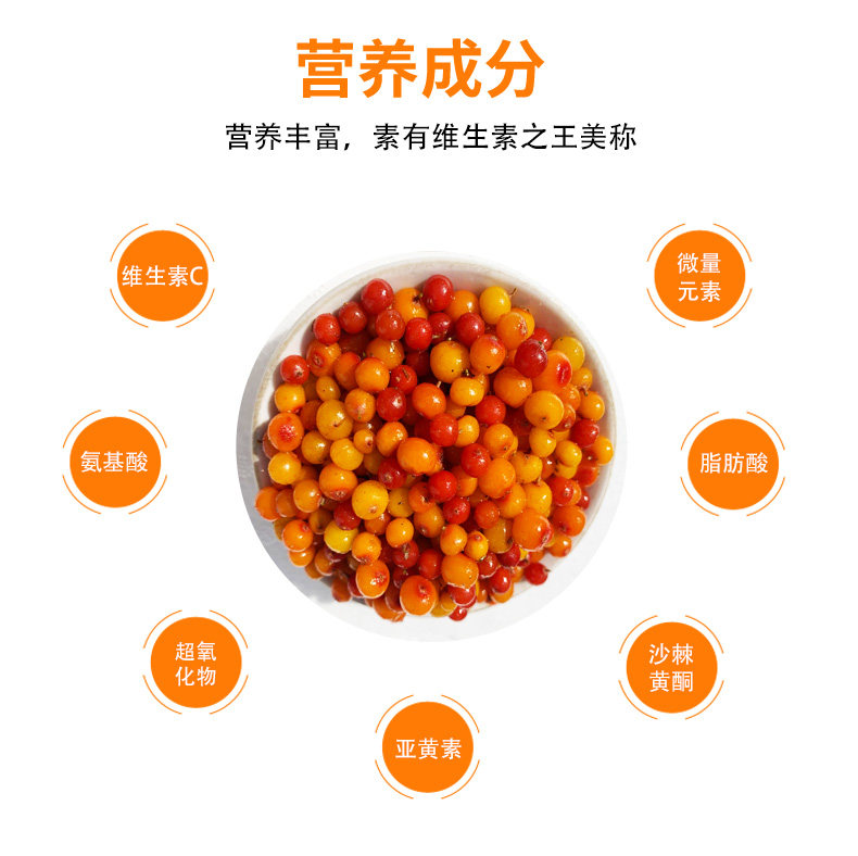 山西特产19年吕梁山天然新鲜野生特级挑选沙棘果鲜果做酵素榨汁