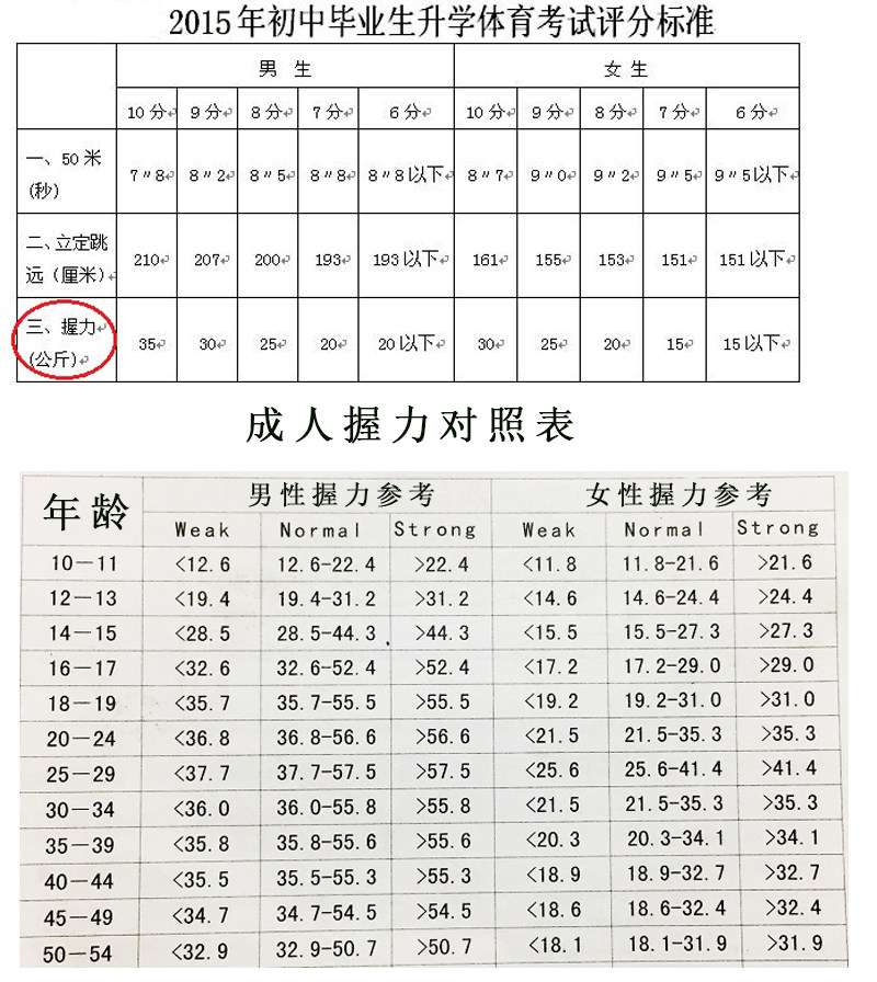 体育握力包邮中考国家健康素质测试训练计数握力器