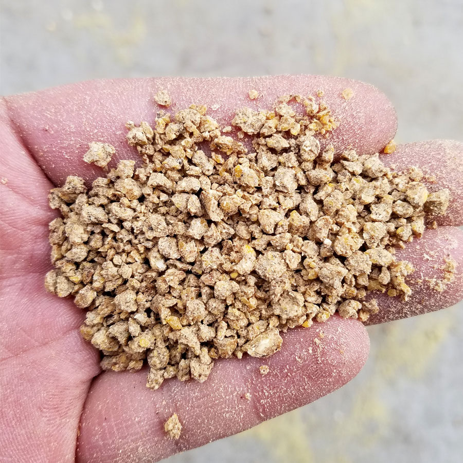 正大蛋鸡饲料粮食散养中大鸡农家鸡下蛋野鸡土鸡鸭鹅补钙22斤包邮