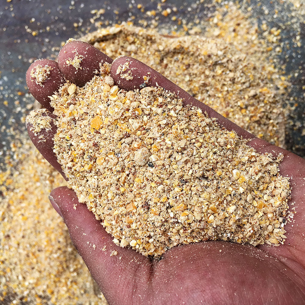 产蛋鸡饲料全价料喂鸡玉米碎粒下蛋鸡中大鸡家用鸡食鸭鹌鹑100斤