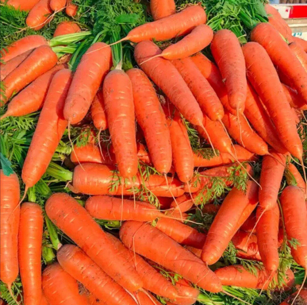 胡萝卜水果胡萝卜原生态脆甜新鲜胡萝卜10斤包邮装寿光情窦初开果