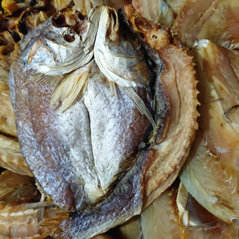 温州特产咸白咸鱼野生白鲞黄鱼鲞大黄花鱼海鲜鱼干