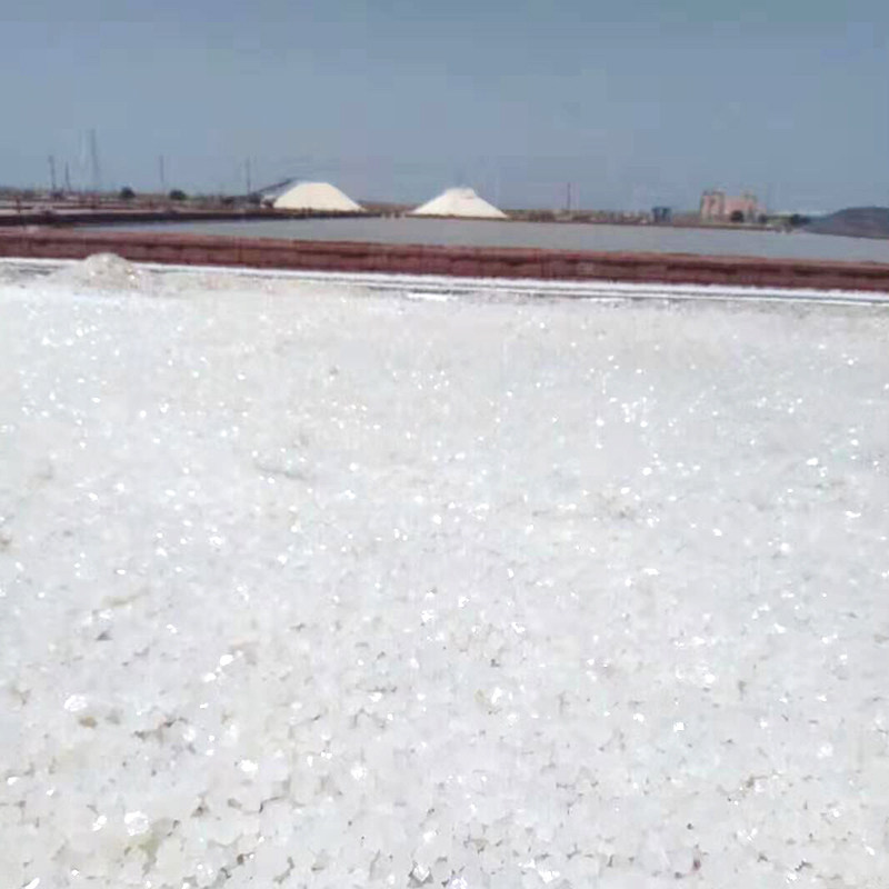 粗盐颗粒散装热敷理疗盐袋天然日晒海盐大盐电热敷盐包