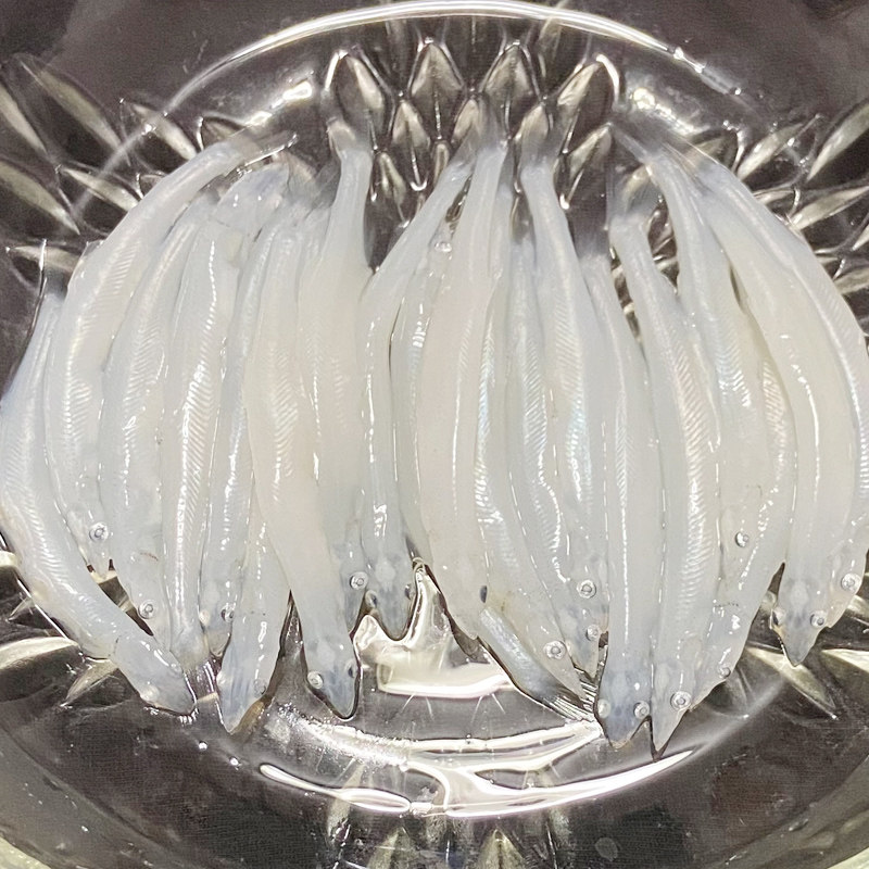 银鱼苏州特产太湖新鲜野生鲜活包邮冷冻宝宝淡水鱼类