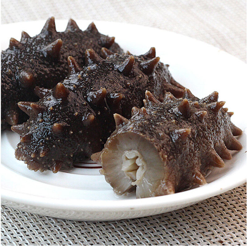 海参大连鲜冻即食500g新鲜海生野生真空单个即食海参