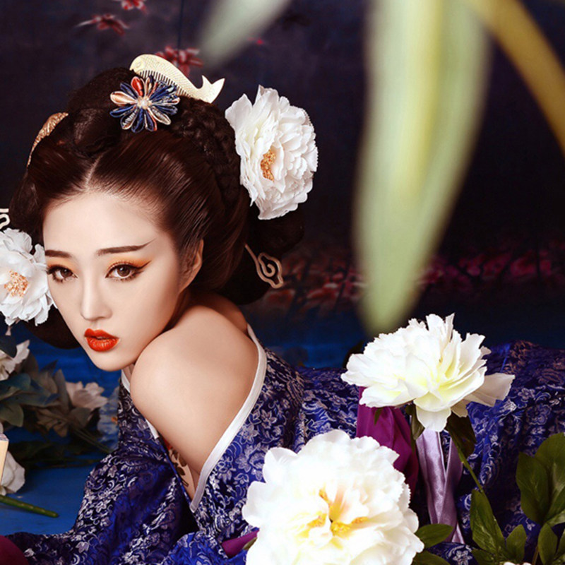 影楼摄影写真性感主题古装唐朝妃子服装古风民族服装