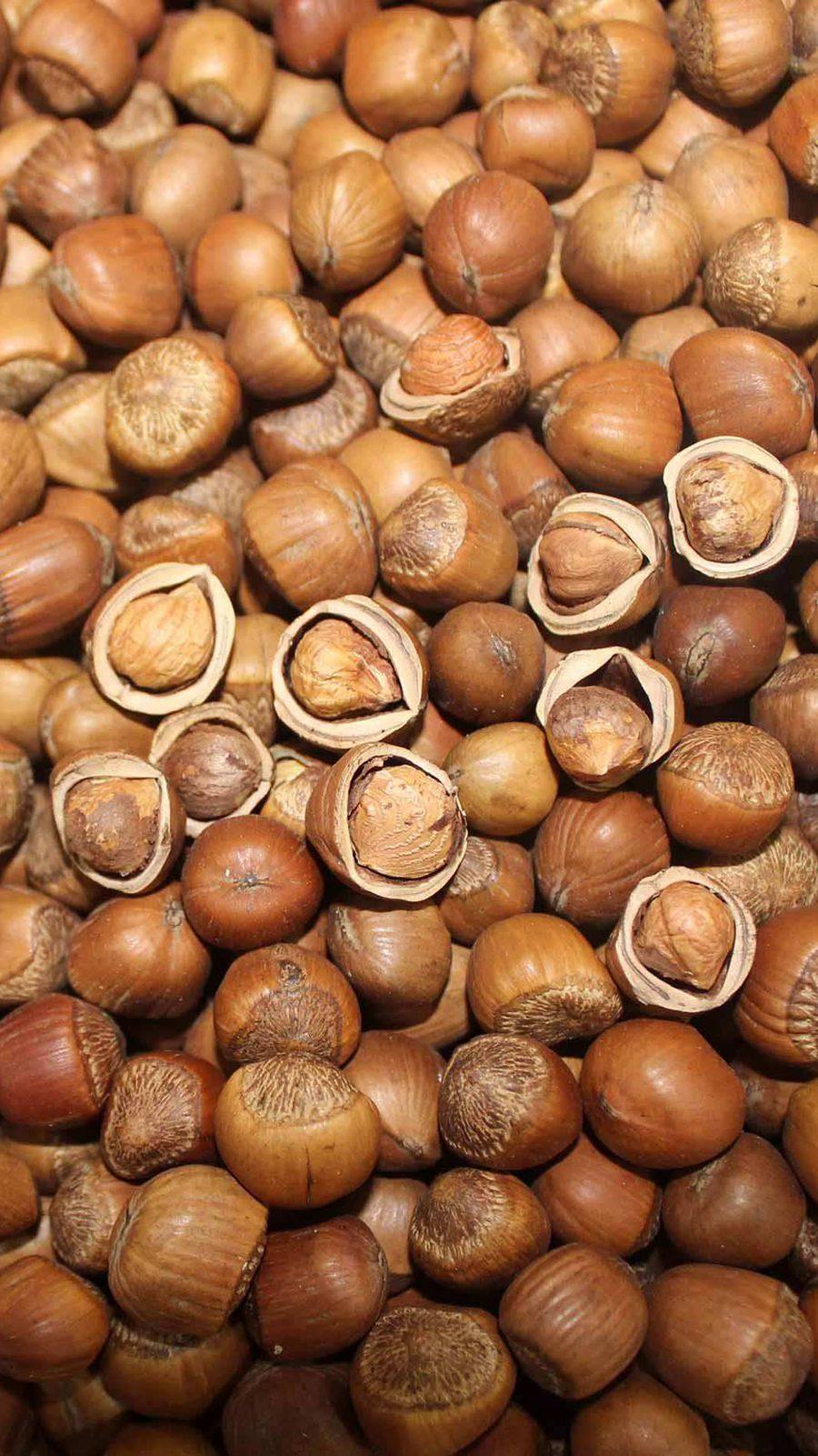 2020东北野生小榛榛子新货500g包邮拍2斤钳子榛子