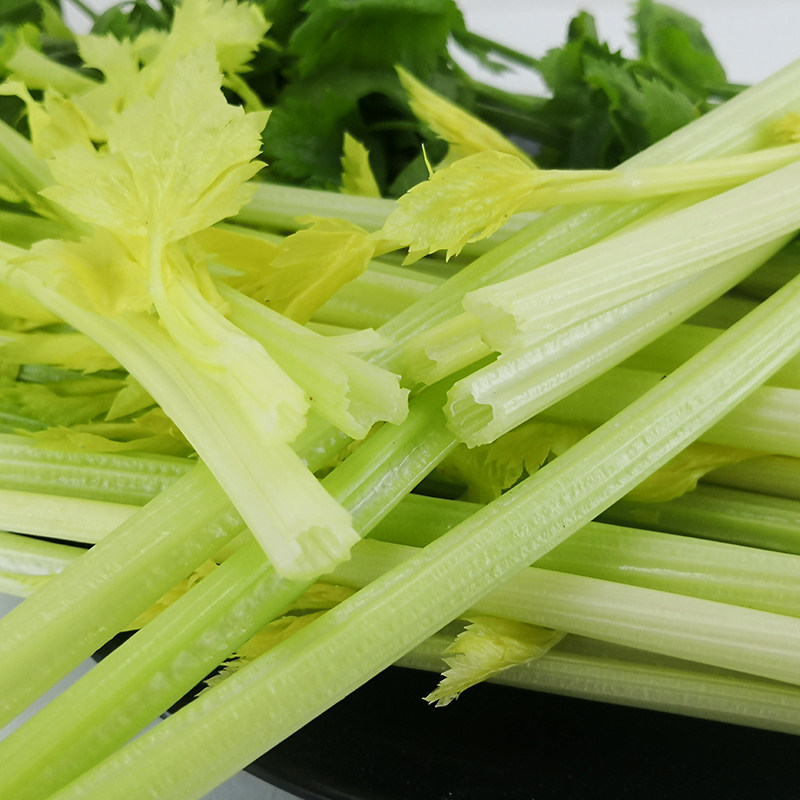 芹菜正宗优质顺丰地直产地生吃马家黄芹菜大叶其它