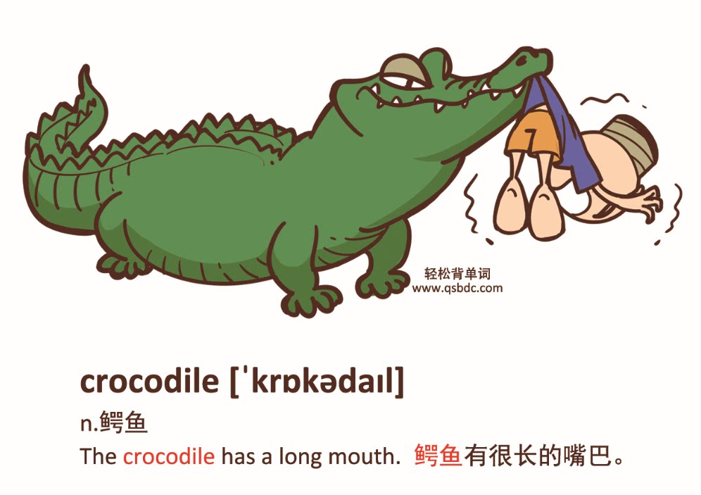 北师大版一年级起点一二年级上下册泡泡灯英文单词汇儿童早教卡片