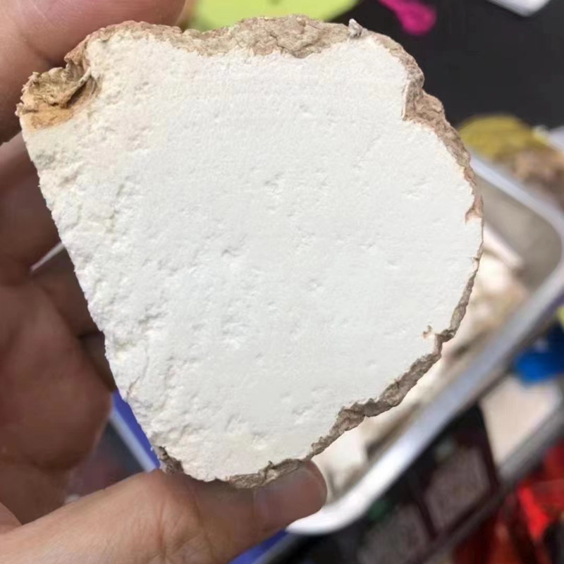 大片虎奶菌片100g野生马来西亚进口老虎乳片儿童其他药食同源食品