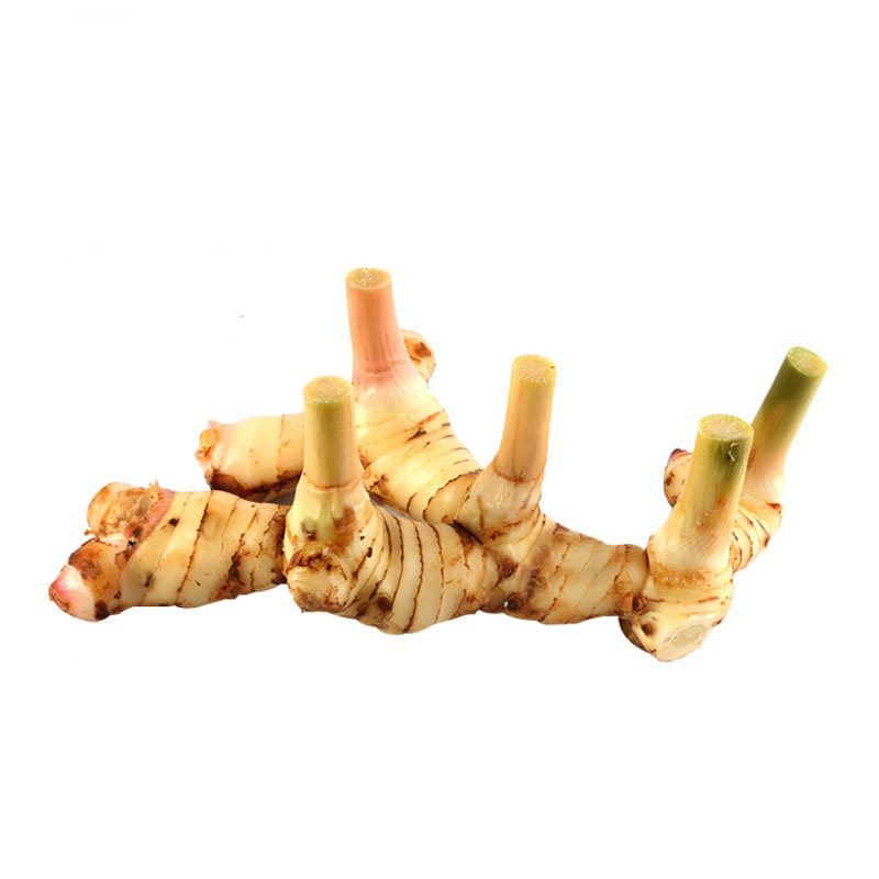 泰国南姜新鲜500g高良姜泰式冬阴功汤调料火锅生姜