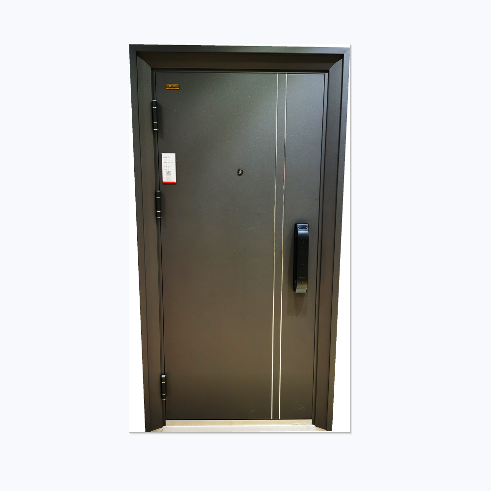 防盗门龙裕新款家用安全入户007门霸王锁具级锁进户门
