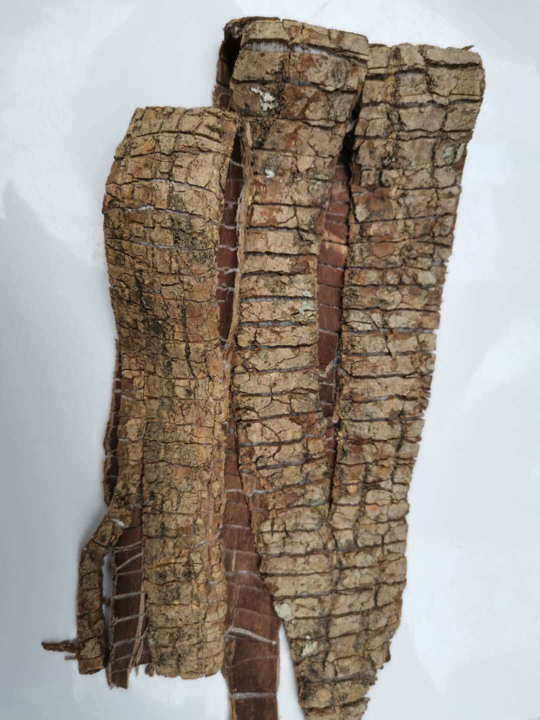 天然中药材杜仲思仙木绵思仲丝连皮药用中草药干货500g包邮