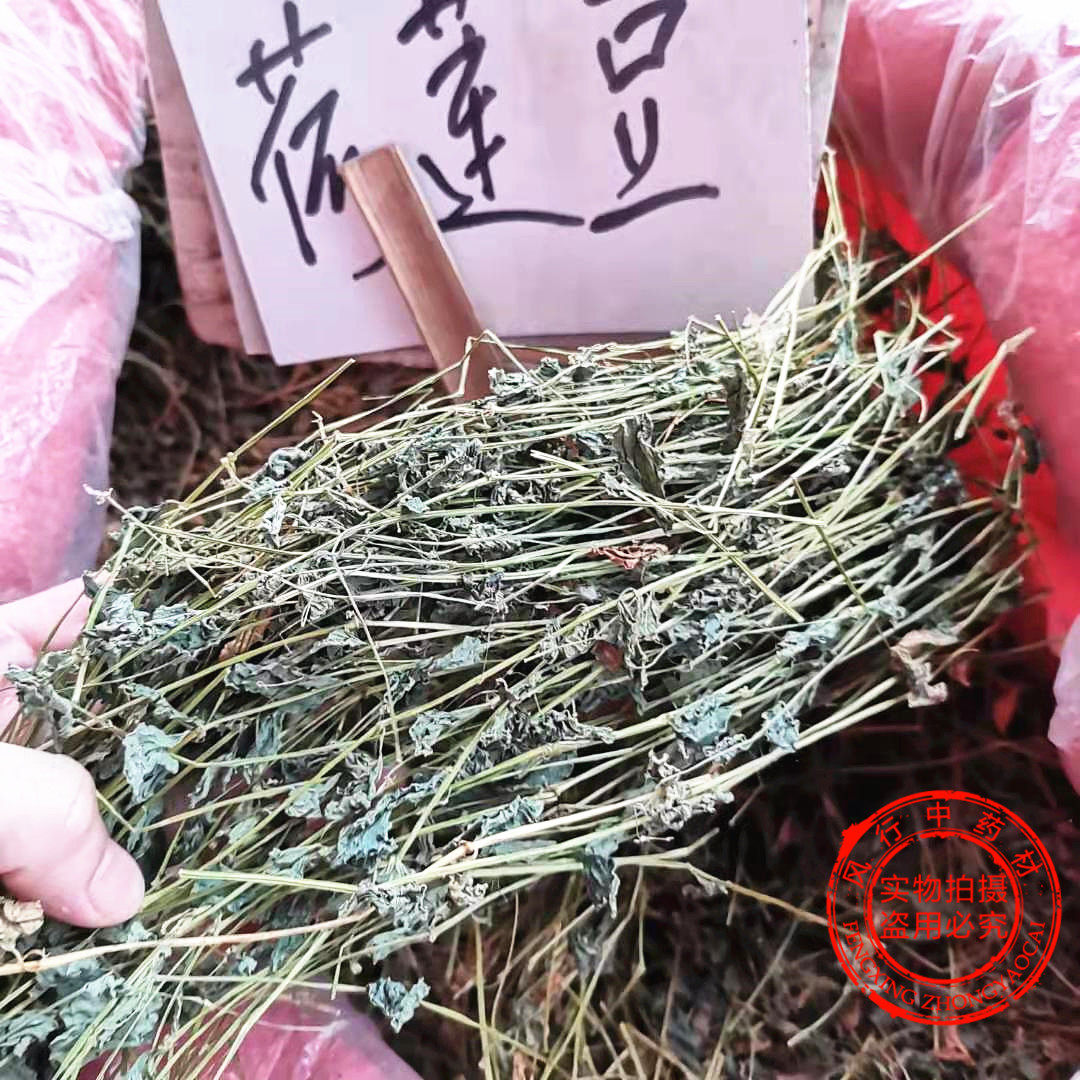 荷莲野生豆草新货豆螺蚬草月亮青蛇米菜干品其他药食同源食品