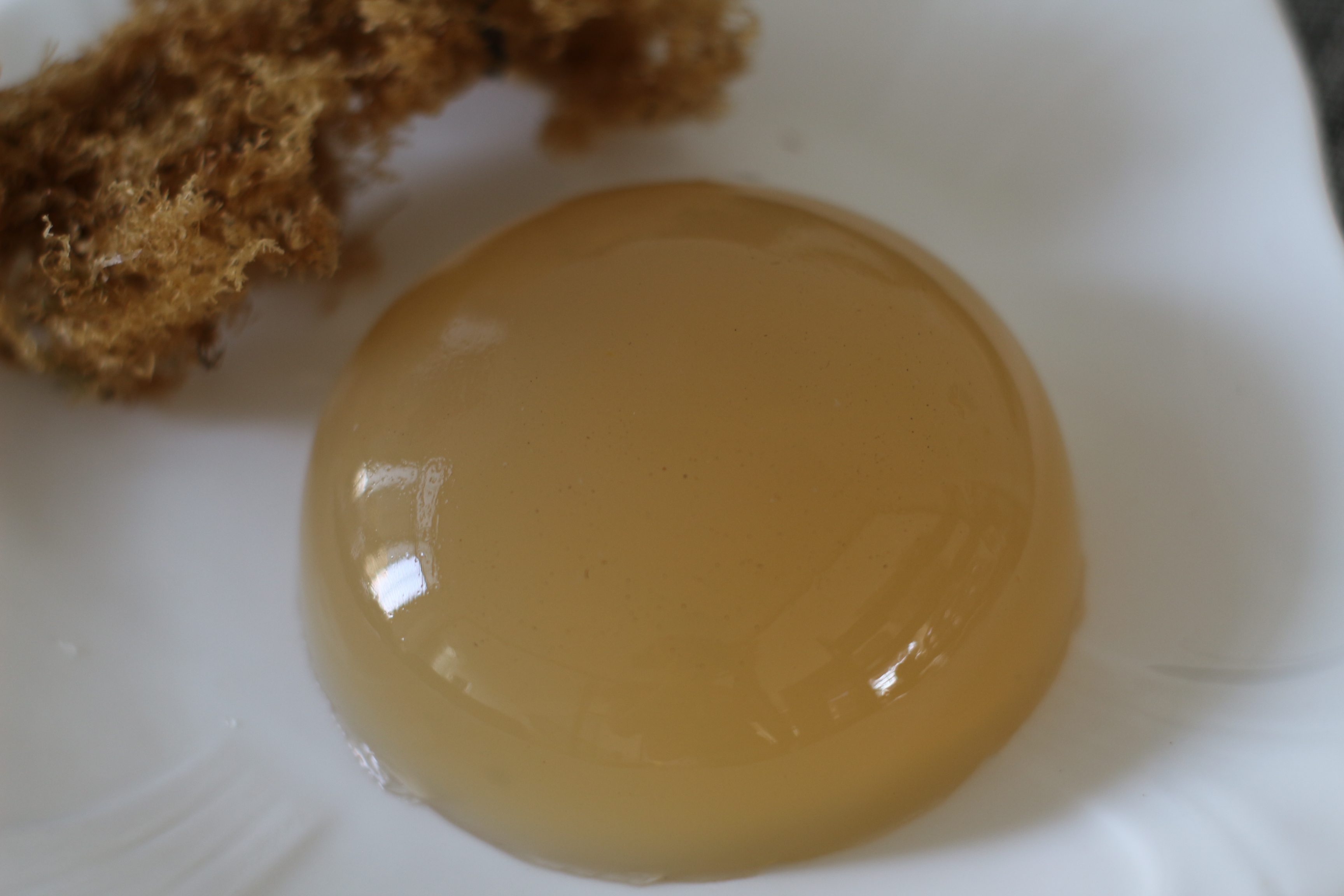 福建四果500g岩衣洋菜原料汤原料干货野生石花膏其它