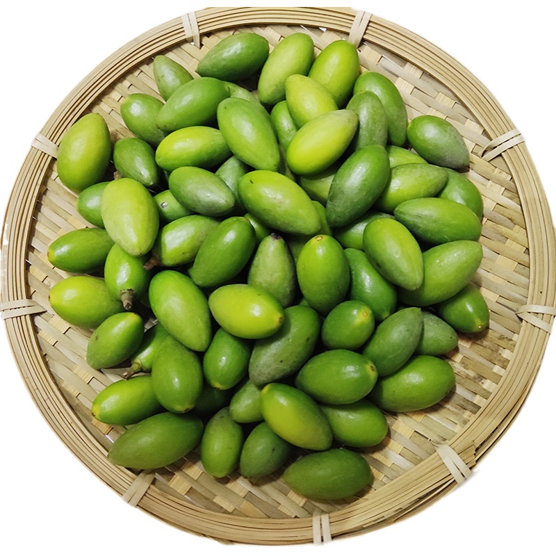 新鲜水果当季现摘广东潮汕二号甜种橄榄生吃其它