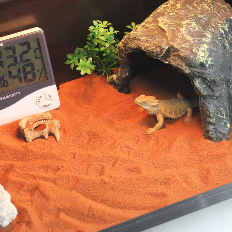 钙砂爬虫沙垫材鬃狮蜥蜴守宫用品爬宠沙饲养沙漠造景