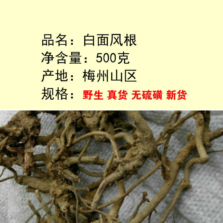 野生 客家 白面风根 山白芷 乌脚鸡 寻骨风 根头 500g