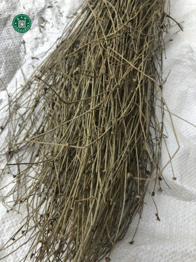 独脚梅州兴宁客家草药金锁匙锁匙500克包邮其他药食同源食品