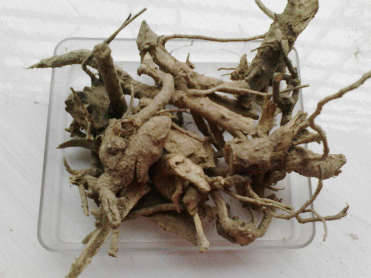 栀子新货山栀根黄栀子黄枝子枝子黄果根500g根头其他药食同源食品