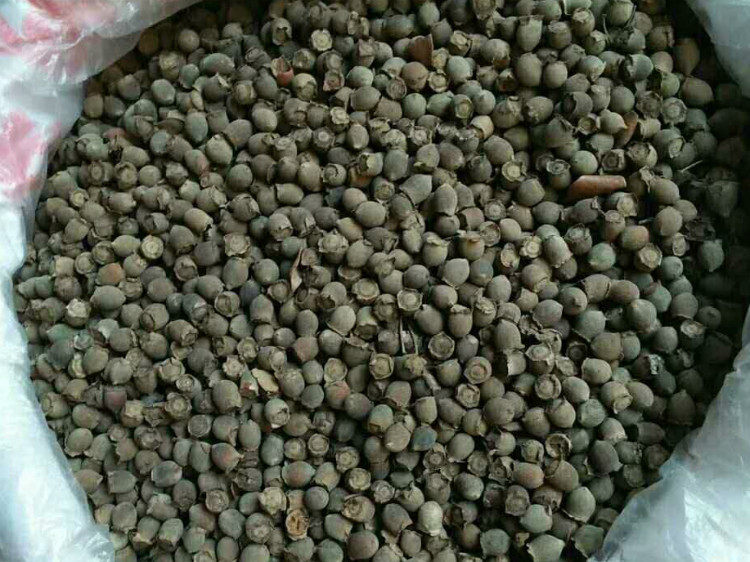 农家自晒 野生山捻子干 岗稔子果 山捻子酒 桃金娘娘 500g 包邮