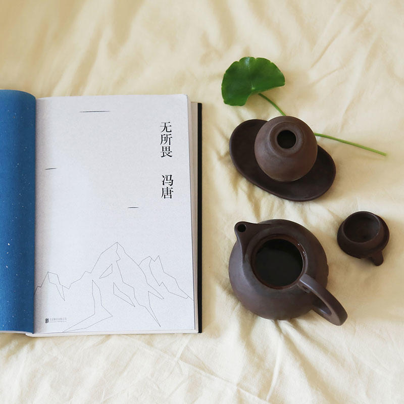 冯唐作品集飞鸟集不三如何成为一个怪物如何避免万物生长诗集素女经