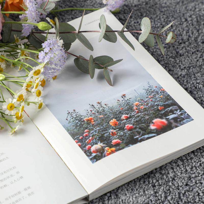 rt正版海蒂花园9787521729610中信出版集团股份有限公司文学书籍建筑