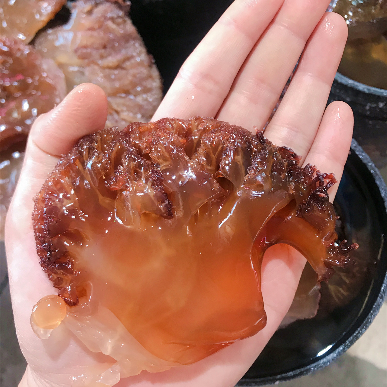 正宗东海特级野生海蜇桶装新鲜凉拌拌菜非即海蜇