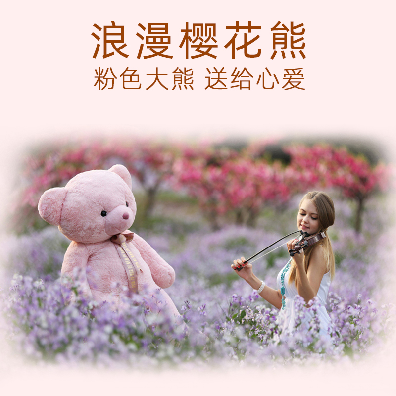 柏文熊粉色泰迪熊公仔大号抱抱熊大玩偶礼物生日礼物毛绒玩具女
