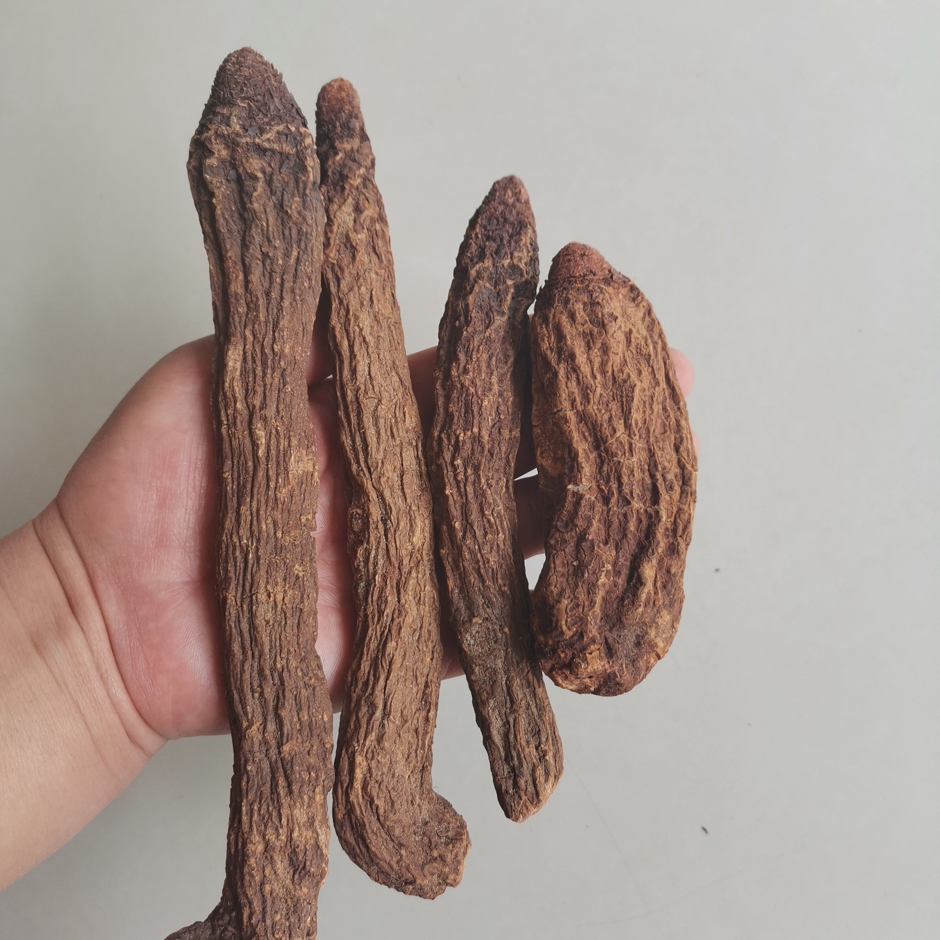 阿拉善优质正宗金锁阳泡酒食用养生滋补农产品开胃其他药食同源食品