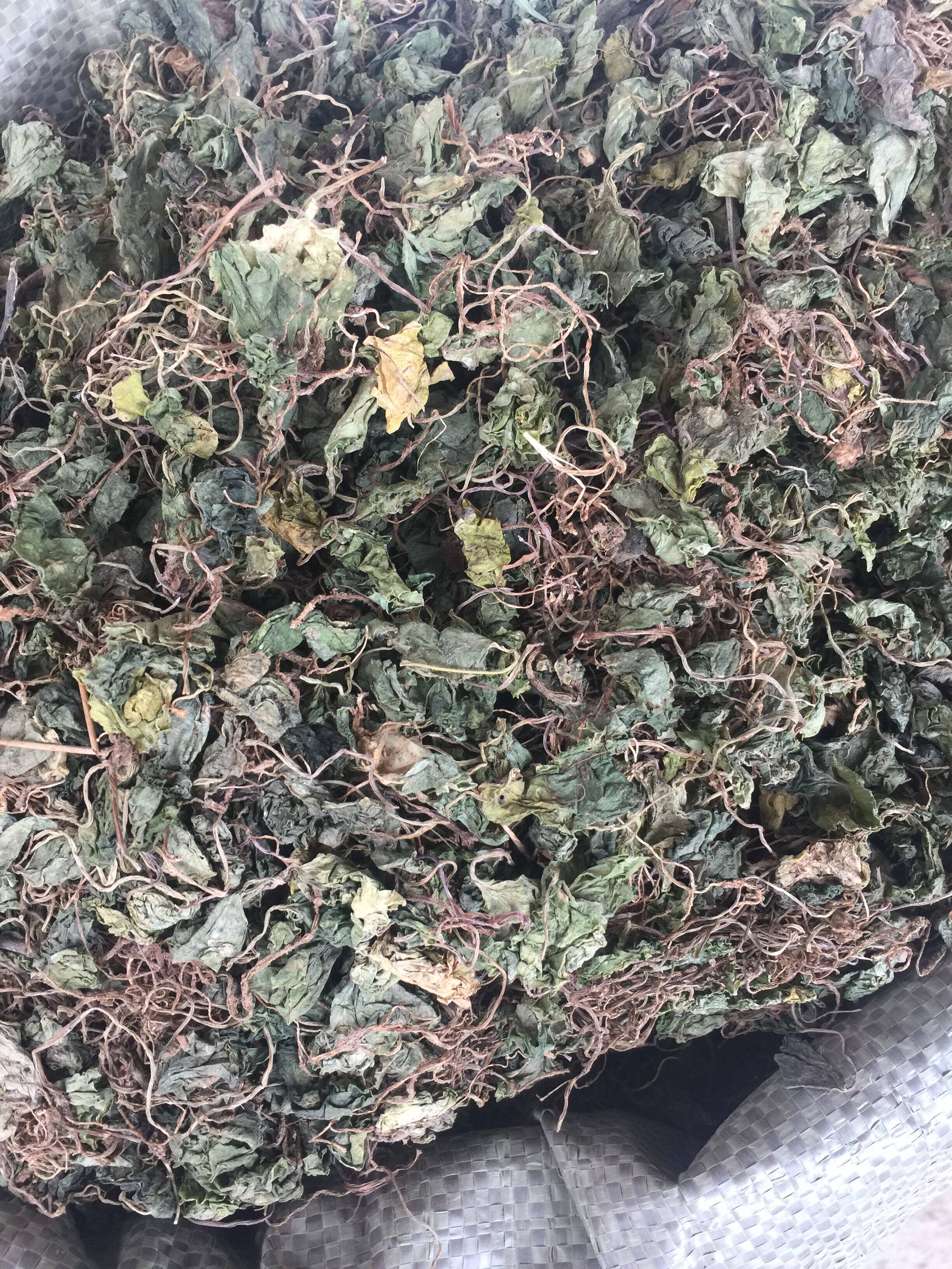 野生中药材干品青天葵 500克包邮独脚天魁 珍珠叶半边伞坠千斤