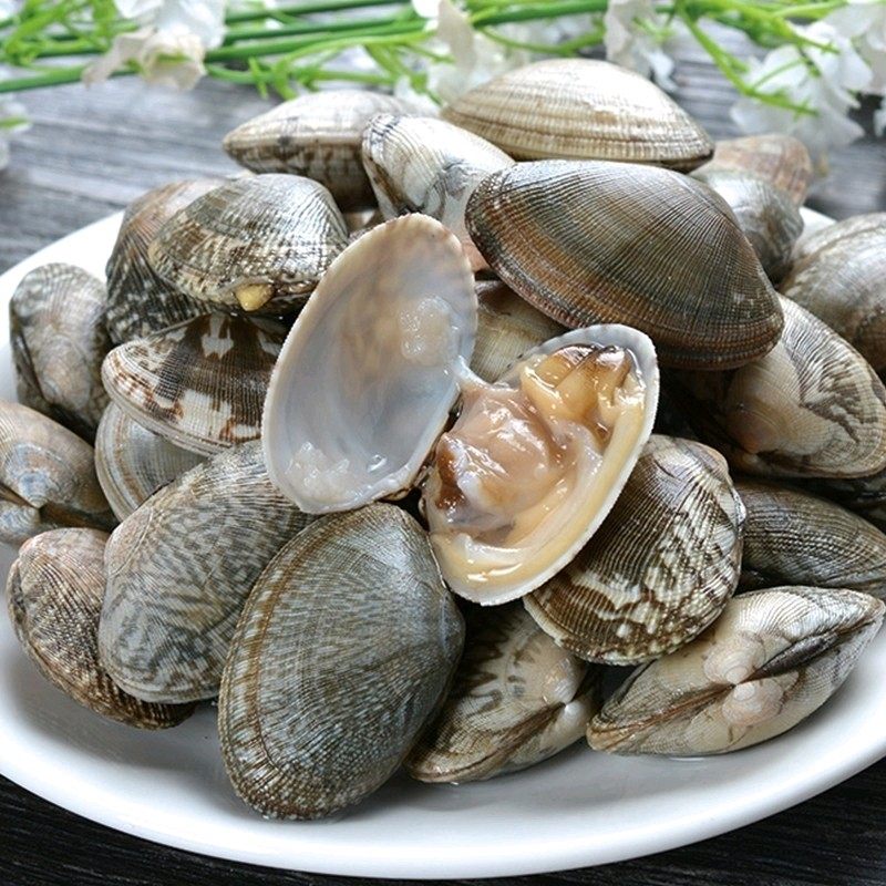 3斤连云港新鲜无沙花甲花蛤花蚬杂色野生海鲜贝类制品