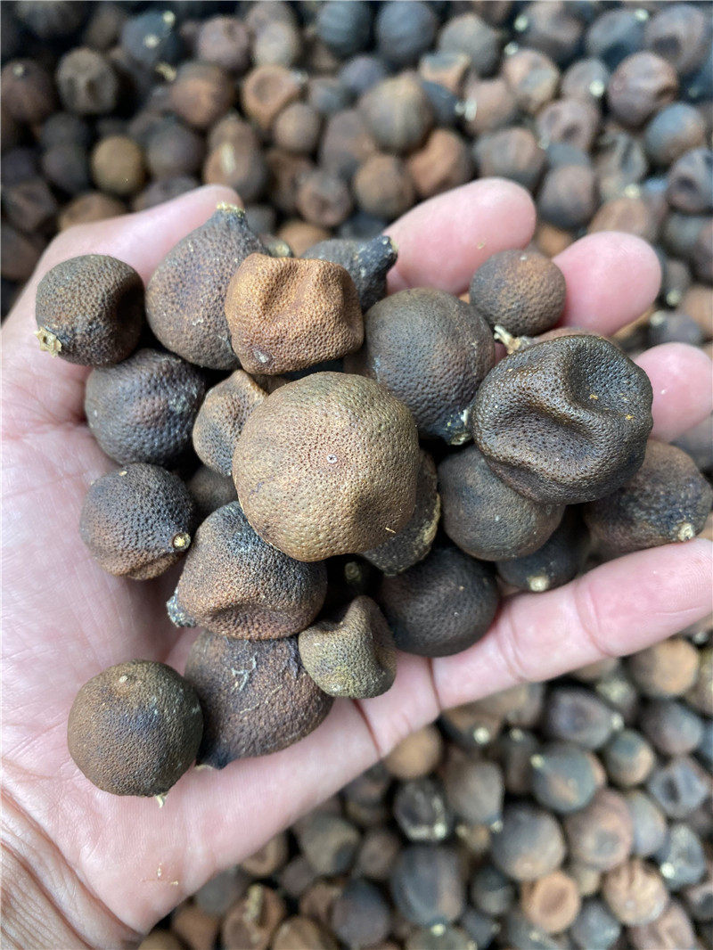 正宗新会树摘带枝柑胎小青柑普新鲜小柑胎仔陈皮