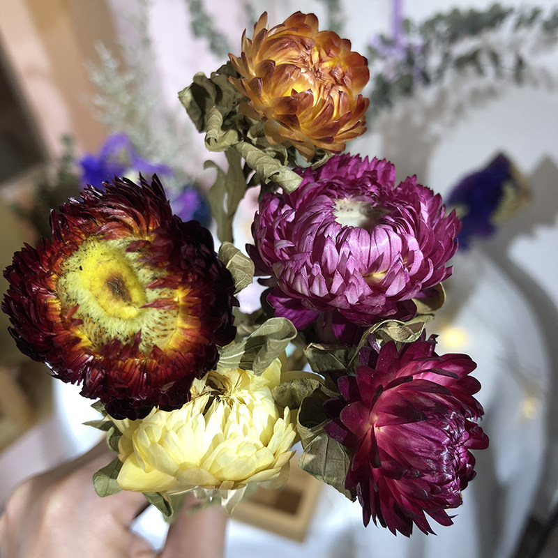 diy永生花花材手工蜡烛材料香薰蜡片干花贺卡干花