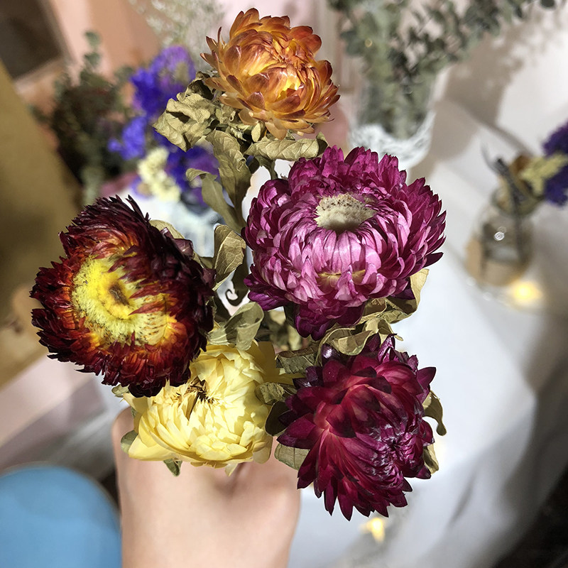 diy永生花花材手工蜡烛材料香薰蜡片干花贺卡干花