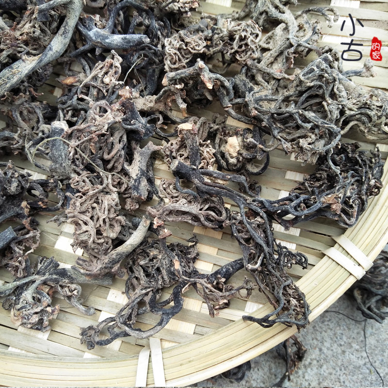 新货 海带根须头500克 福建特产昆布农产品药引子 海产干货包邮