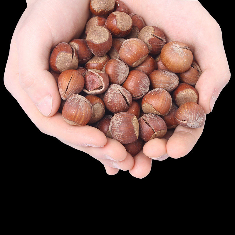 【鼠小于】东北开口大榛子500g包邮
