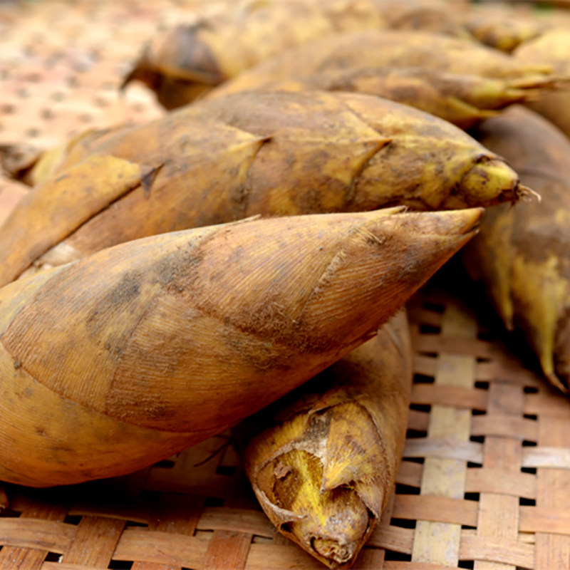 福建建瓯新鲜冬笋2020现挖发野生毛竹笋蔬菜竹笋