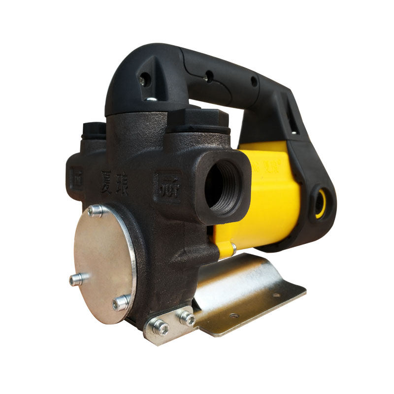 抽油电动油泵12v24v220v充电柴油吸油器自加油机直流电泵