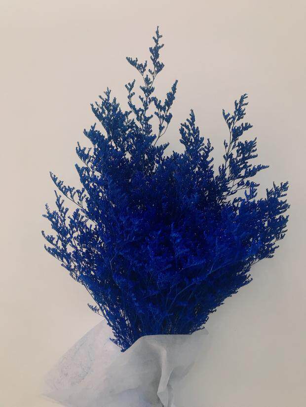 云南干花情人草永生花客厅会议装饰插花勿忘我水晶花干花