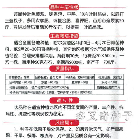 种子亚布力旱烟东北农村品种烟味醇厚抗病丰产家庭园艺种子