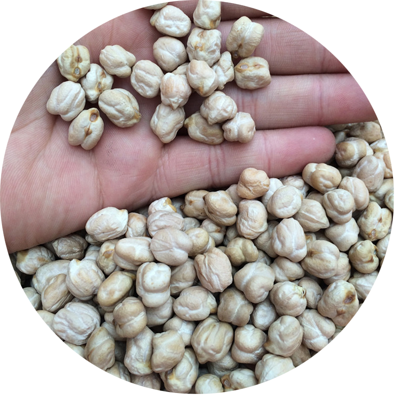 野生天麻子籽粉豆泥粉豆浆云南好货原味可种植干货长寿豆鹰嘴豆生