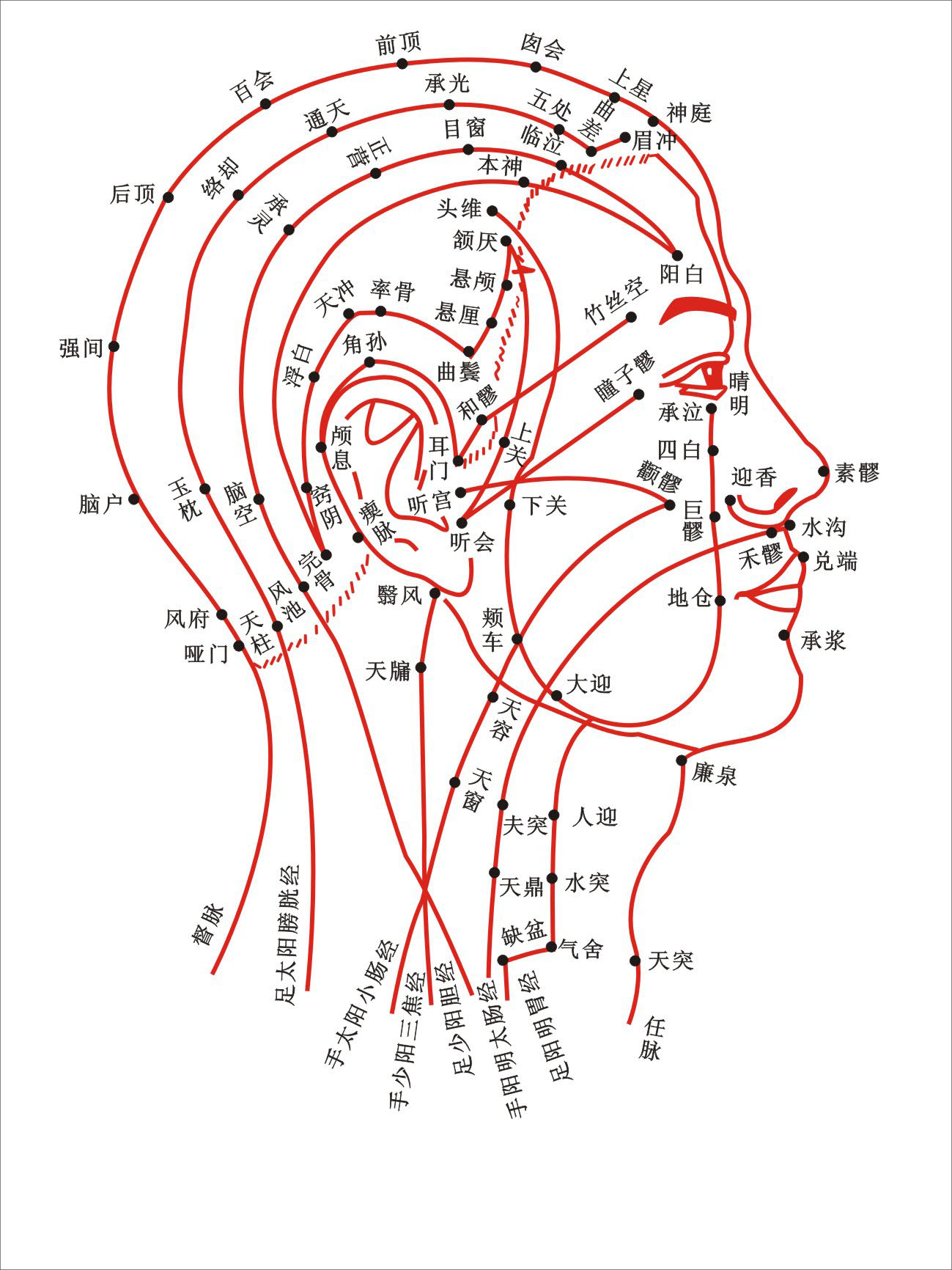 人头部位图详细图片