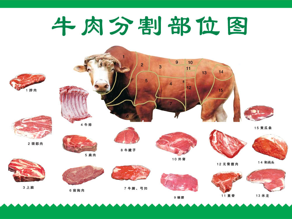 海报印制展板写真贴纸素材牛肉分解部位图分割喜字