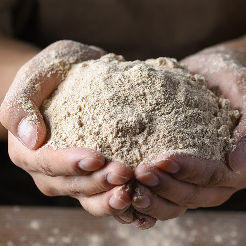 青稞炒面糌粑青海特产面熟面粉粗粮5斤面粉