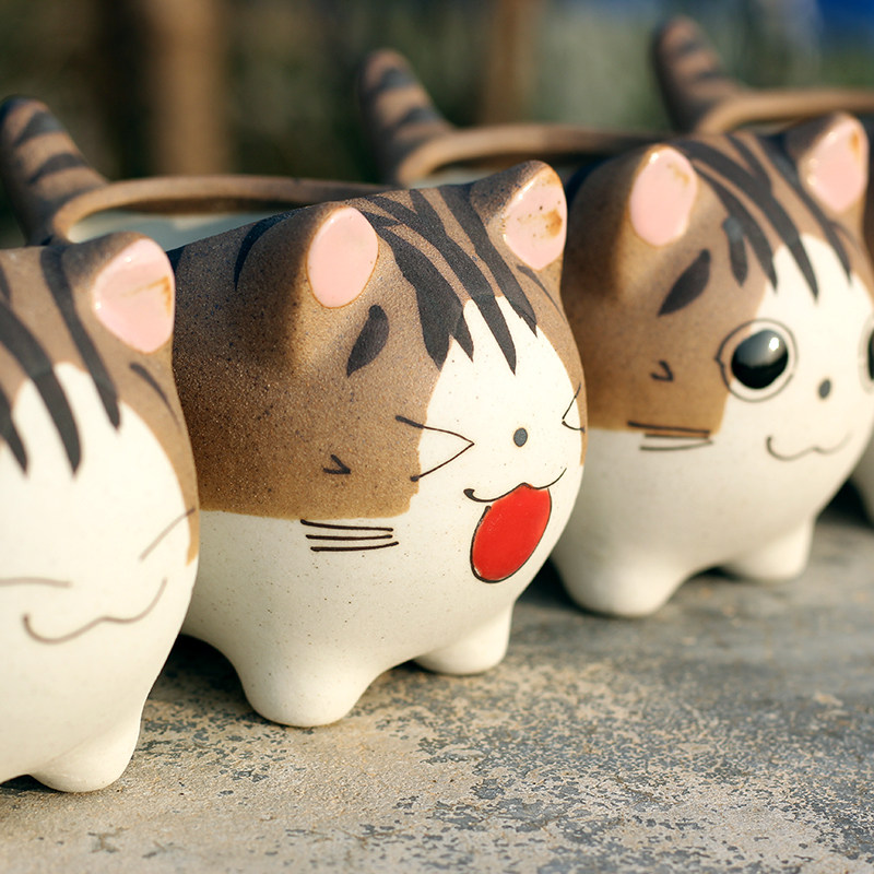 起司猫卡通可爱立体猫咪多肉花盆萌喵盆生石pp花盆