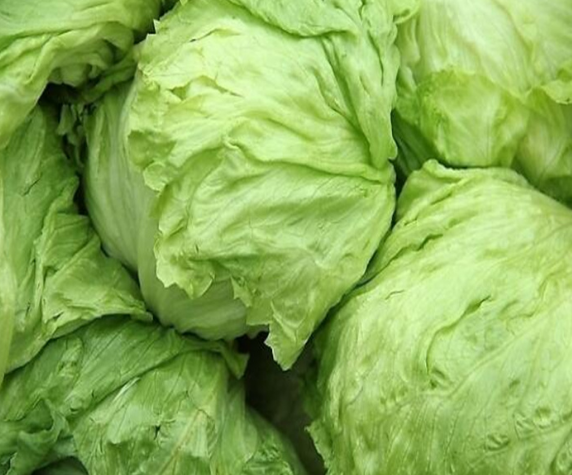 新鲜球生菜 圆生菜 西生菜 沙拉 汉堡一箱20斤左右江浙沪皖包邮啦