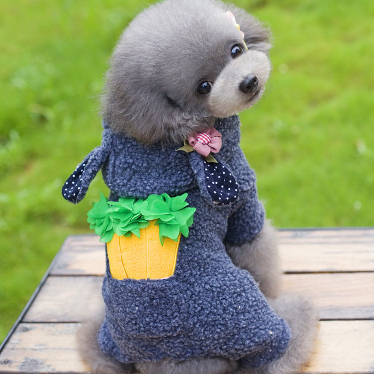 衣服博美小狗狗狗四脚秋冬保暖宠物比熊泰迪狗宠物服装